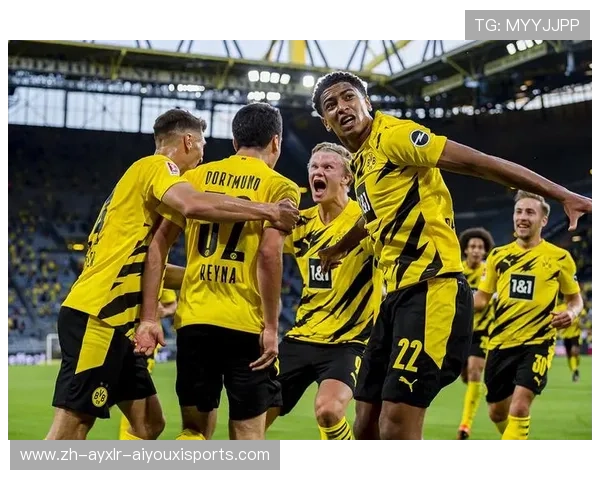 德甲非尔特俱乐部的英文名称与球队历史概述